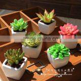 Wholesale Artificial Mini Succulent Flower Plants, Mini Flower Bonsai thumbnail-3