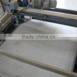 Municipal Sewage Treatment Plants Belt Press thumbnail-3