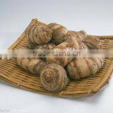New crop taro wholesale with competitive export price