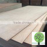 Wholesale Plywood Supplier Keruing Veneer Shipping Container Plywood thumbnail-1