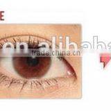 Authentic Korea Geo Contact Lens Good Quality Colour Contact Lens GEO XCH Yearly Geo Contact Lens Quality Choice thumbnail-5