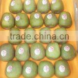 Fresh Red Kiwi Fruit thumbnail-4