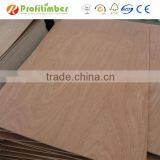 China 4x8 Natural Wood Veneer Plywood