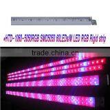 Led Strip Light 5050 60d Rgb 12v thumbnail-1