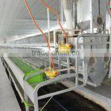 Automatic Rabbit Farm Equipment for Meat Rabbit