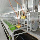 automatic rabbit farm equipment for meat rabbit