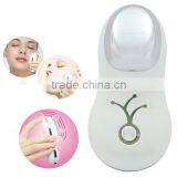 Galvanic Electronic Slimming Massager thumbnail-3