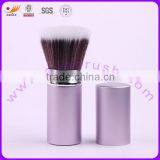 Professional Retractable Power Brush