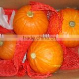 good quality fresh saffron pumpkin