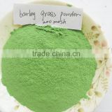 Bulk Dried barley grass powder and low price dried barley grass powder