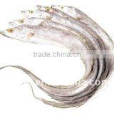 Frozen Ribbon Fish thumbnail-1