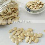 Organic Pumpkin Seeds Shine Skin 10,11-13MM thumbnail-2
