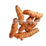 Fresh Dried Turmeric Finger