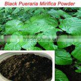 Strong Effect/100% Pure Herbal Extract/Thailand Black Pueraria Mirifica Powder for Largo Penis Enlargement thumbnail-1