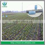 High Quality 1/2" PE Lay Flat Hose In Drip Irrgation System Wate Or In Wate Irrigation System thumbnail-4