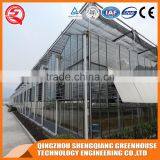 Glass Greenhouse With the Shading System You Need thumbnail-6