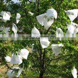 Light Weight Fruit Cover thumbnail-1