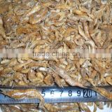 Shrimp exporters high nutrition dried shrimp fish feed