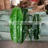 SJ700120 Indoor Decoration Plastic Fake Banana Tree Leaf thumbnail-2