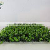 40*60cm Big Leaves Grass Carpet ,fake Money Grass Carpet thumbnail-3