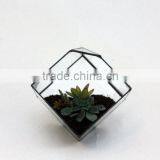 Stained Glass Small Cube Airplant Cactus Terrarium thumbnail-2