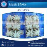 Top Certified Supplier Selling Frozen Fresh Octopus thumbnail-6