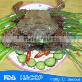 Frozen Black Crab,Frozen Crab,