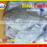 FROZEN WHOLE ROUND BLACK POMFRET thumbnail-1