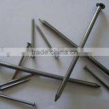 Galvanized Roofing Nails With Umbreall Head thumbnail-4