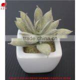 Cute Artifiical Mini Succulent With Ceramic Pot thumbnail-1