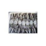 Frozen Crab thumbnail-1