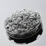 Silver Dollar Paste thumbnail-1