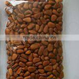 Chines Red Pinenut thumbnail-1