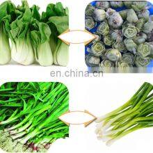 Automatic Double-head Root Removal Machine Scallion Garlic Cabbage Root Cutting Machine thumbnail-3