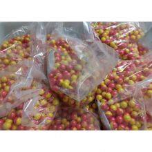 Manufacturer High Quality Field Training Paintball Balls Bullet thumbnail-4