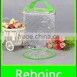 Fancy Frosted Plastic Bags for Women Hand Bag