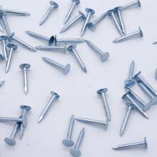POWER Steel Roofing Felt Nails Supplier 20mm Length for Ceiling Installation thumbnail-3