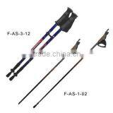 Walking Sticks thumbnail-1