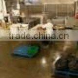 Dungeness Crab thumbnail-6