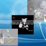 Russia Wall-mounted Luminaires Light /wall Mounted Sconces thumbnail-2