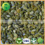 Hot Selling Shine Skin Pumpkin Seeds Where to Buy From Supplier thumbnail-4