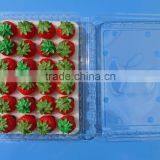 Punnet Clamshell Blister Plastic Packaging Container 500 Gram thumbnail-2