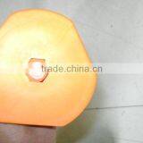 2015 Factory Direct Sail Chisel thumbnail-5