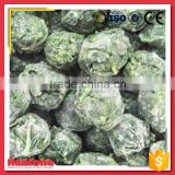 Supply Iqf Organic Frozen Green Spinach