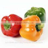 Fresh Bell Pepper India/good Quality Capsicum/farm Fresh Red,yellow,red Capsicum/bell Pepper Exporter in India thumbnail-4