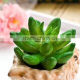 Latest Design Wholesale Artificial Mini Succulents Artificial Succulent Plants thumbnail-3