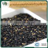 Paraguayan Sesame Seeds Manufacturers thumbnail-6