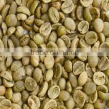 Washed Arabica Coffee Beans First grade S18