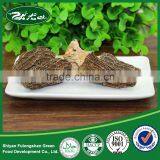 100% Natural Organic Dried Morel Mushrooms for Sale