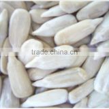 China bulk sunflower kernels big size